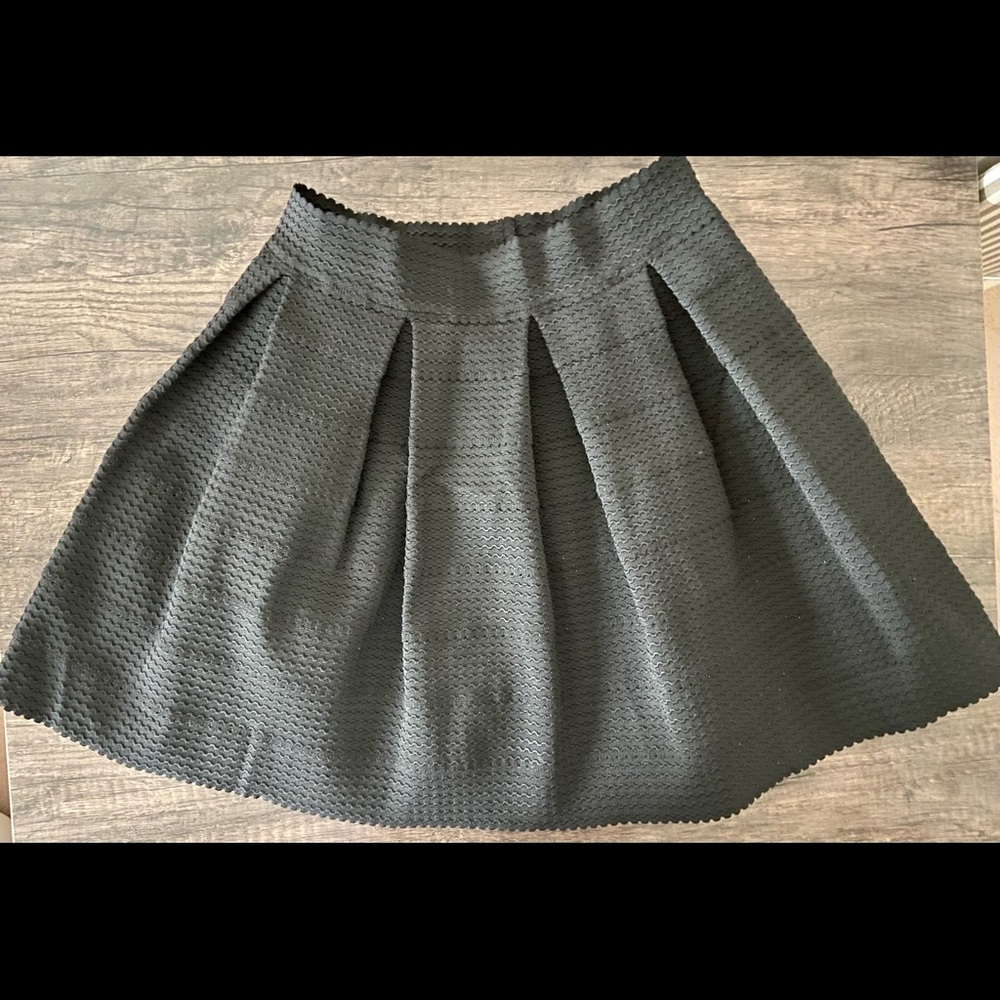 Gorgeous high-waisted flared skirt!